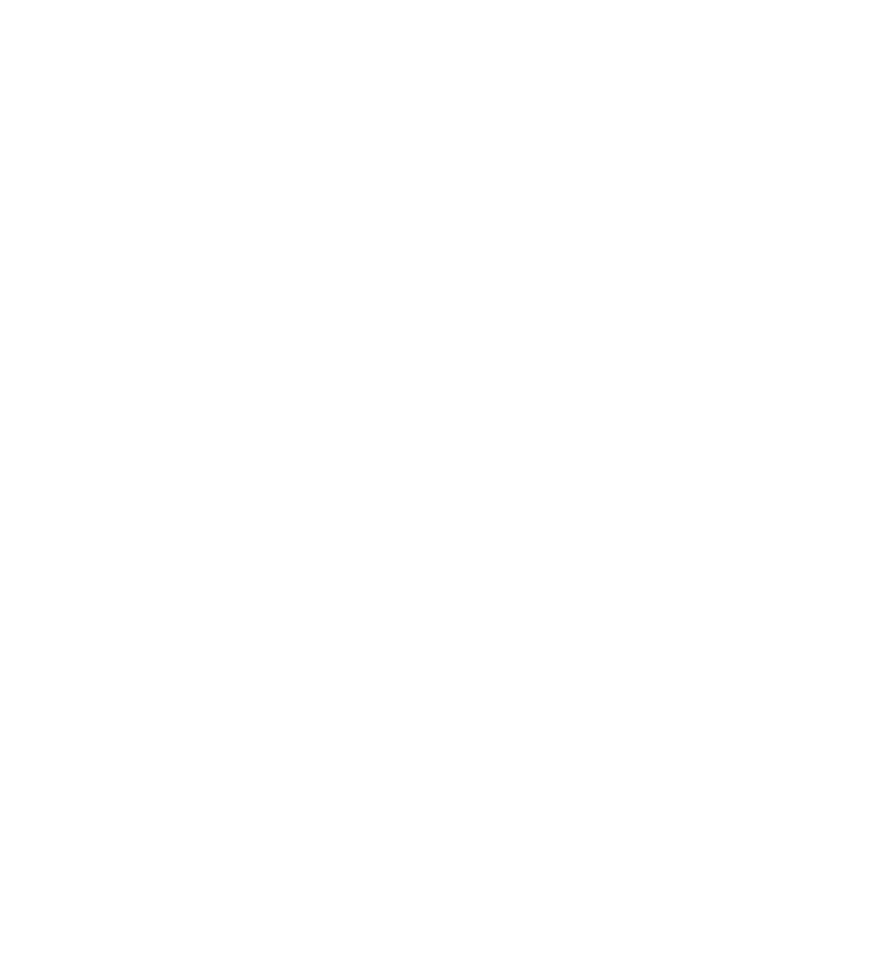 https://amirgomaafire.com