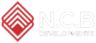 nvb-1-1